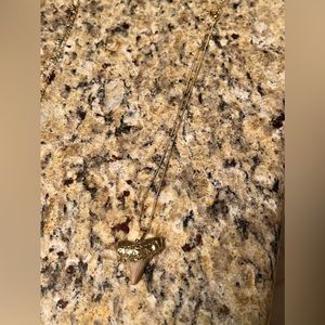 Shark Tooth Necklace dipped in gold